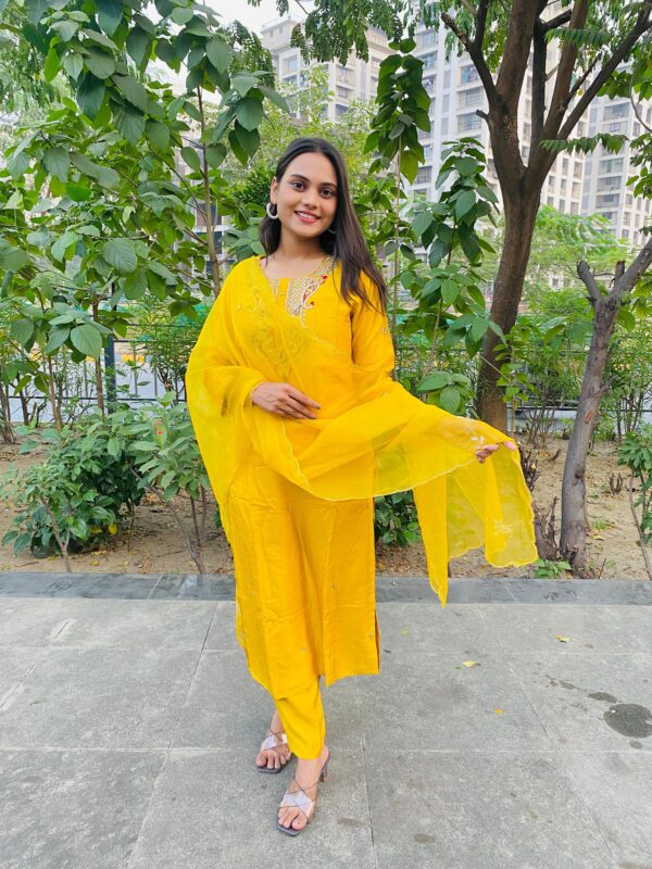 Embroidered Kurta set with Dupatta - Image 4